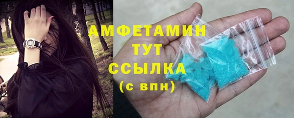 хмурый Белокуриха