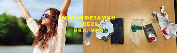 хмурый Белокуриха