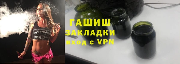 хмурый Белокуриха