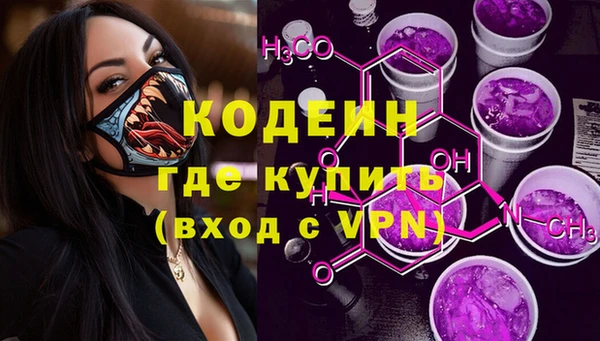 хмурый Белокуриха