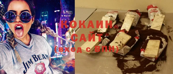 хмурый Белокуриха