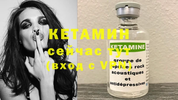 хмурый Белокуриха