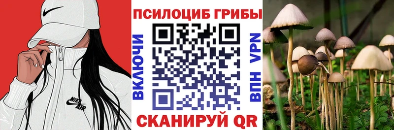 Псилоцибиновые грибы Cubensis  кракен как зайти  Кинешма 