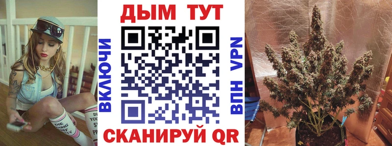 сайты даркнета как зайти  Кинешма  Канабис AK-47 
